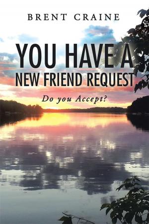 Cover of the book You Have a New Friend Request by Annette Merritt Cummings