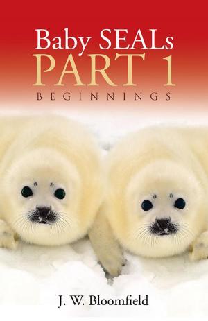 Book cover of Baby Seals