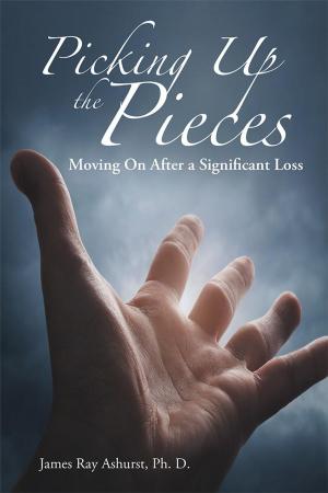 Cover of the book Picking up the Pieces by Hillary Sigrist
