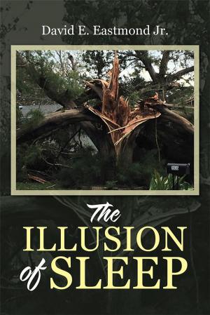 Cover of the book The Illusion of Sleep by Cynthia Buffill