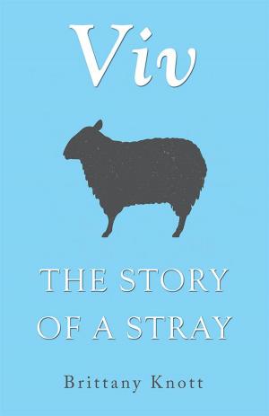 Cover of the book Viv by Michael G. Strauss PhD