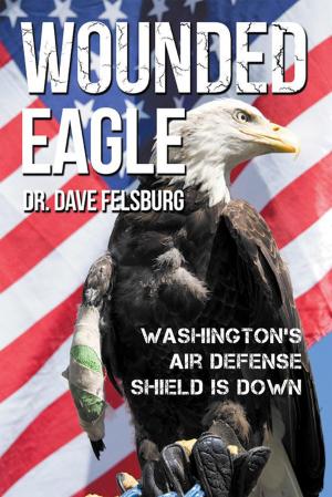 Cover of the book Wounded Eagle by DeLinda N. Baker