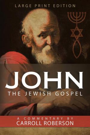 Cover of the book John the Jewish Gospel by David John Burgin