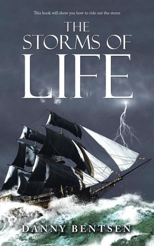 Cover of the book The Storms of Life by Jeanette Chaffee