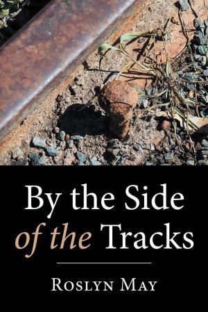 Cover of the book By the Side of the Tracks by Angus Kennedy