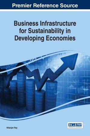 Cover of the book Business Infrastructure for Sustainability in Developing Economies by Dan Boudreau