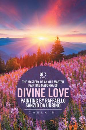 Cover of the book The Mystery of an Old Master Painting Madonna of Divine Love Painting by Raffaello Sanzio Da Urbino by Stephen Briggs