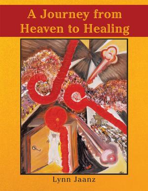 Cover of A Journey from Heaven to Healing