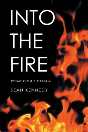 Cover of the book Into the Fire by Jane Fry