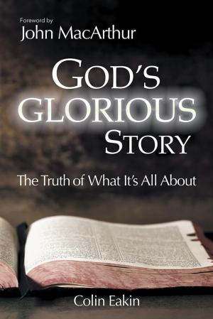 Cover of the book God’s Glorious Story by James Hayes