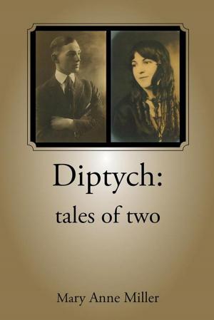 Cover of the book Diptych: Tales of Two by Max Vandersteen