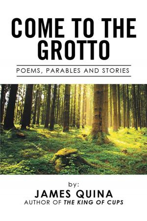 Book cover of Come to the Grotto