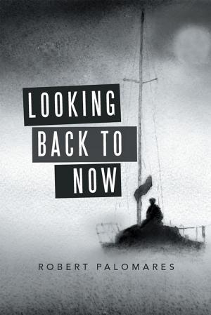 Cover of the book Looking Back to Now by James A. Hooks