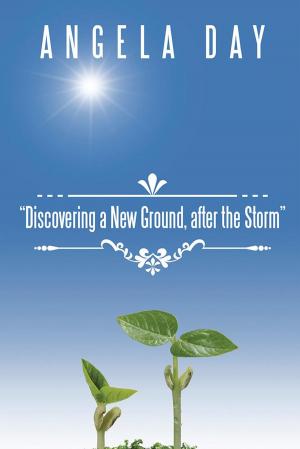 Cover of the book Discovering a New Ground After the Storm by Fiona Tarr
