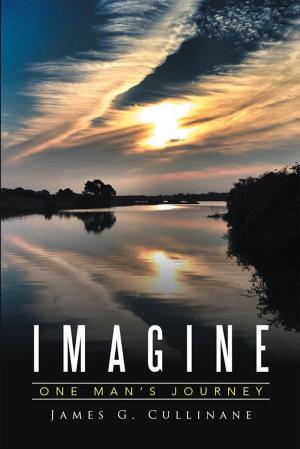 Cover of the book Imagine by Dr. Carmen J. Black
