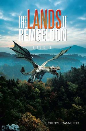 bigCover of the book The Lands of Remgeldon by 