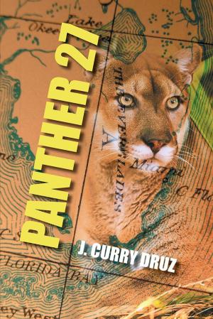 Cover of the book Panther 27 by G. M. Gibson