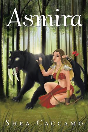 Cover of the book Asmira by Jim Gauger