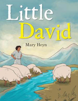Cover of the book Little David by Mike Jones