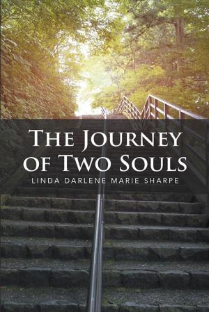 Book cover of The Journey of Two Souls