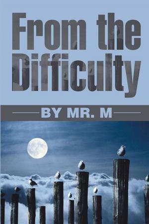 Cover of the book From the Difficulty by Sohail Lakhani
