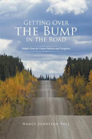 Cover of the book Getting over the Bump in the Road by Abbigail Holton