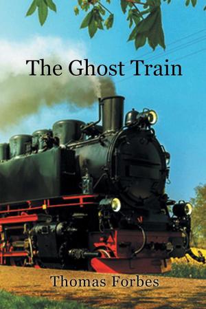 Cover of the book The Ghost Train by Joan Schrauwen