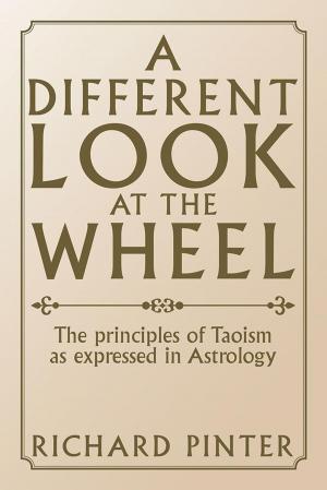 Cover of the book A Different Look at the Wheel by Dondago Bellamy
