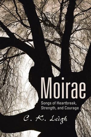 Cover of the book Moirae by Richard M Knittle Jr.