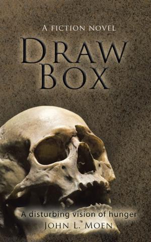 Cover of the book Draw Box by John O'Donnell