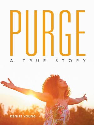 Cover of the book Purge by Beth Rubin