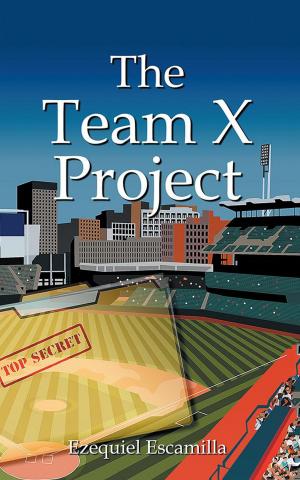 bigCover of the book The Team X Project by 
