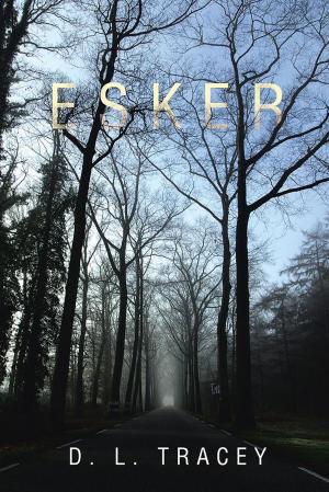 Cover of the book Esker by Heidi Hanning-Borchers, Emily Borchers