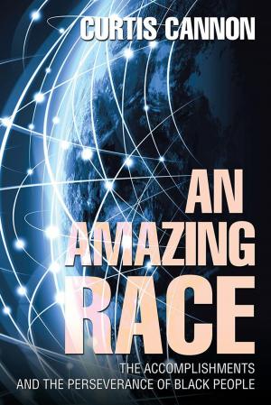Cover of the book An Amazing Race by Virginia Raynor