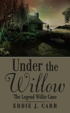 Cover of the book Under the Willow by Hanoch Guy Kaner