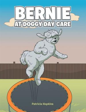 bigCover of the book Bernie at Doggy Day Care by 