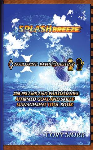 Cover of the book Splash Breeze the Angel Point Path Destiny Collection by ALMON FACKRELL