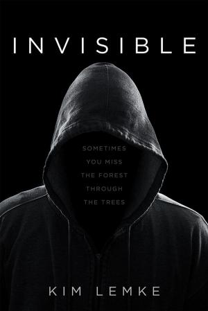 Cover of the book Invisible by Karen Pomerantz