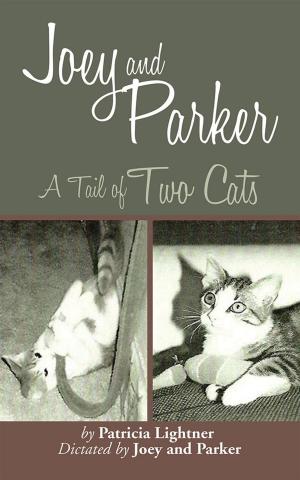 Cover of the book Joey and Parker by Marjorie K. Jones