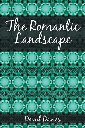 Book cover of The Romantic Landscape