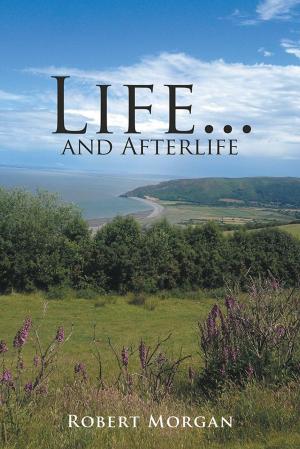 Cover of the book Life . . . and Afterlife by John Trethewey