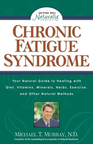 Cover of the book Chronic Fatigue Syndrome by Victoria Fairchild Porter