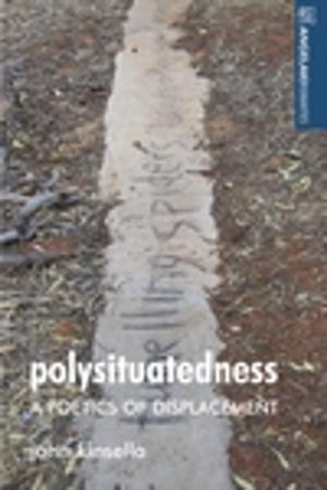 Cover of the book Polysituatedness by Shizuka Oshitani