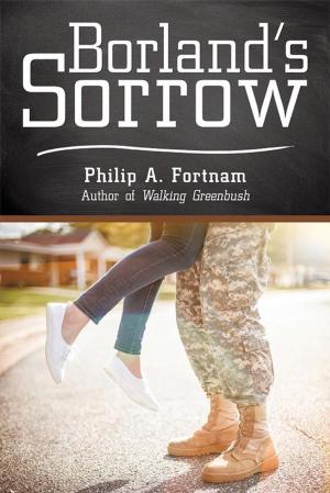 Cover of the book Borland’S Sorrow by Nadia Thornton