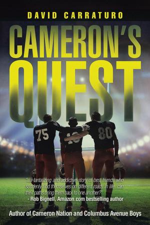 Cover of the book Cameron’S Quest by Richard Leviton