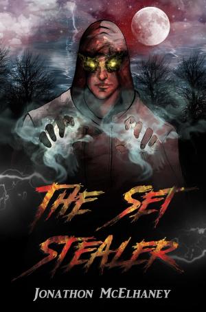 Cover of the book The Set Stealer by Melissa Szydlek