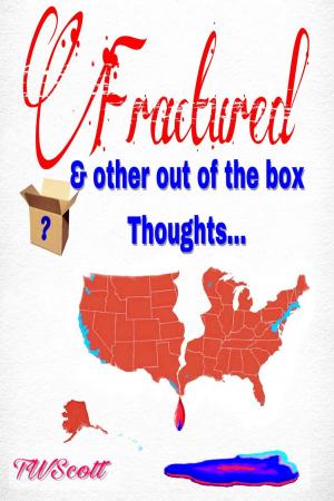 Cover of the book Fractured & Other Out of The Box Thoughts by R. C. Stewart