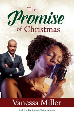 Book cover of The Promise of Christmas