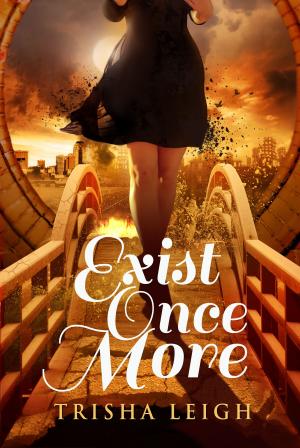 Book cover of Exist Once More