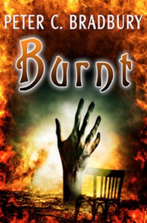 Book cover of Burnt